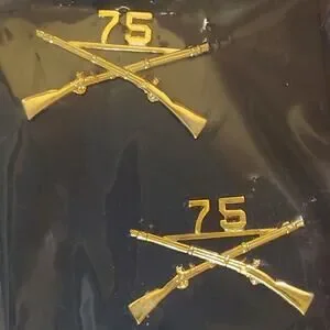 No-Shine Insignia | Accessories | 75th Ranger Regiment Infantry Novelty ...